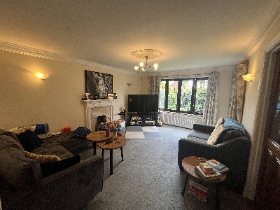 Picture 14